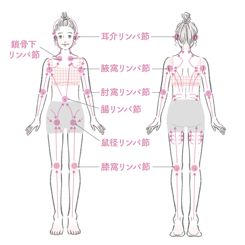 お風呂でリンパマッサージ」を監修しました。｜メディア紹介｜銀座ナチュラルタイム-銀座駅から徒歩1分の極上リンパマッサージ