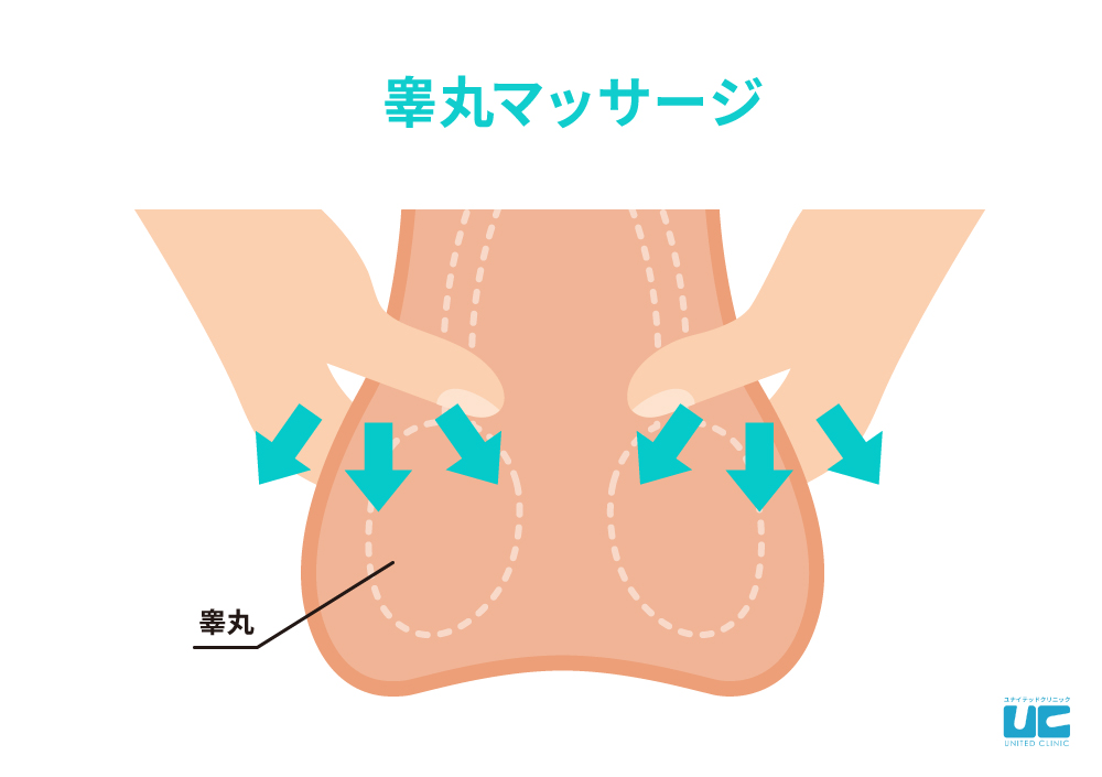 勃起力向上！睾丸マッサージを受けてきました - 睾丸 マッサージ