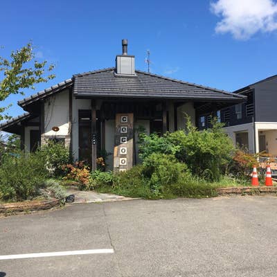 Cocoon 小松市TikTok