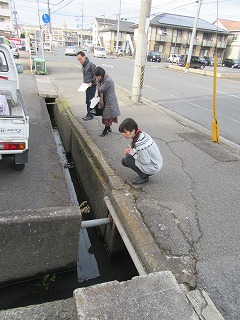 ランチ】福山市引野町の「カフェよしうら」～ポークミートボールのブラウンシチュー - チェック社長の鞆・福山活性化ブログ