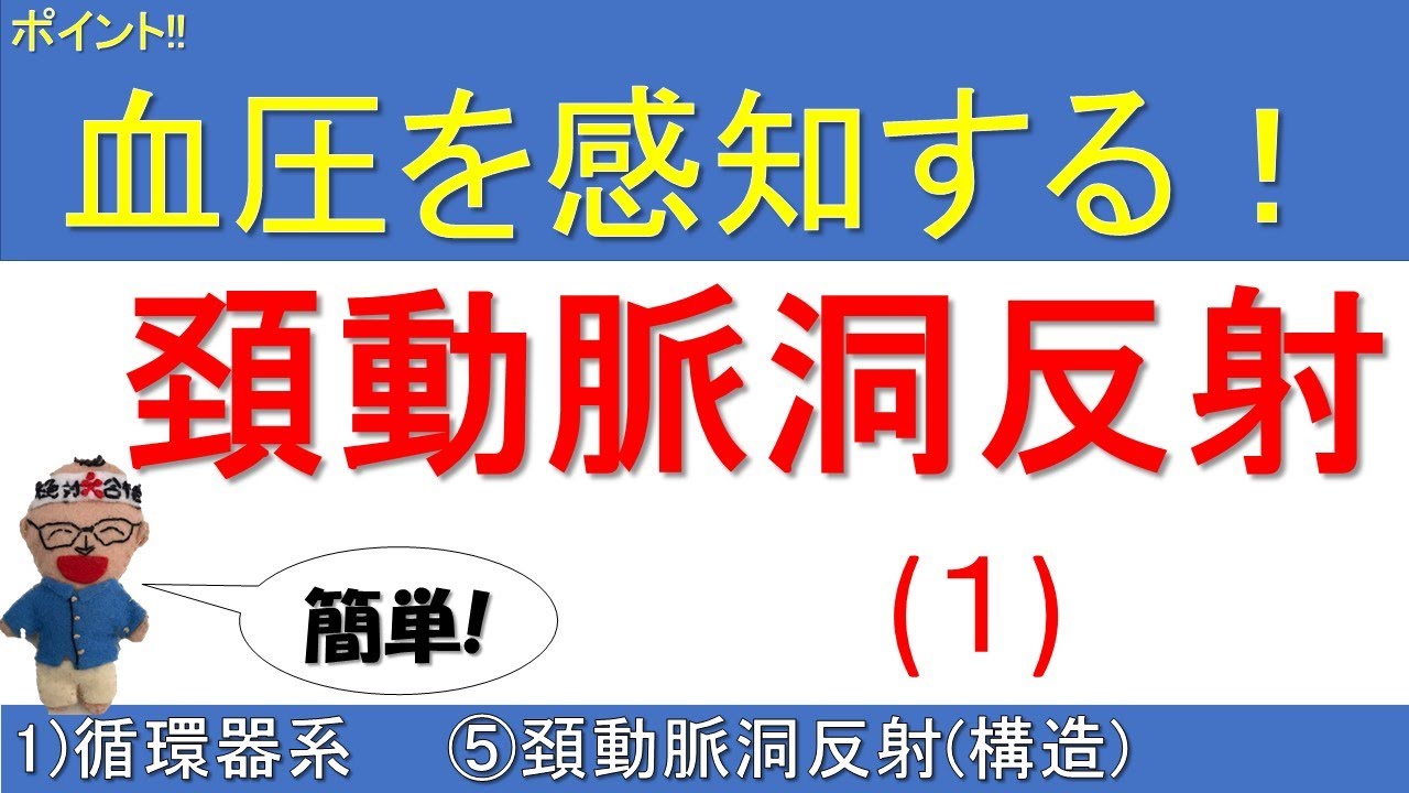 朝３分で全身に血が巡る！「冷えとり指圧」でコリ・疲れの元を押し流す ｜ からだにいいこと