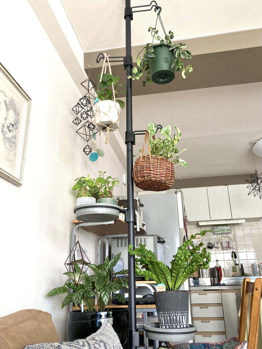 観葉植物 突っ張り棒のおすすめ商品とおしゃれな実例RoomClip ルームクリップ