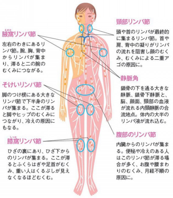 【全身のリンパマッサージの正しい基本】完全保存版!!