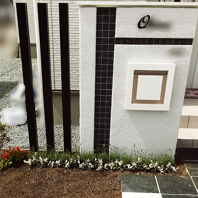 門柱前の植栽が枯れたので自分で植え替えました。 モダン外構DIYAya blog-猫と料理と植物と