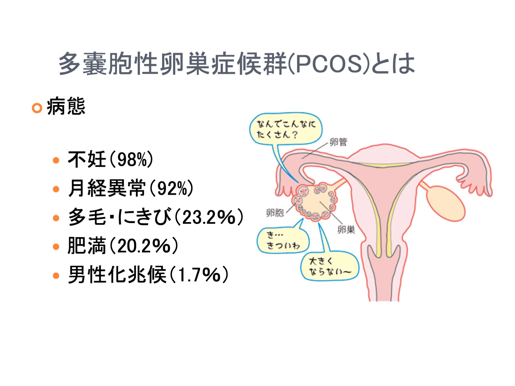 さかもるん すたじお じゃぱん