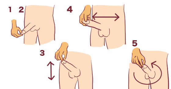 ちんこが5cm増大！簡単で気持ちいいペニスマッサージの方法【図解】