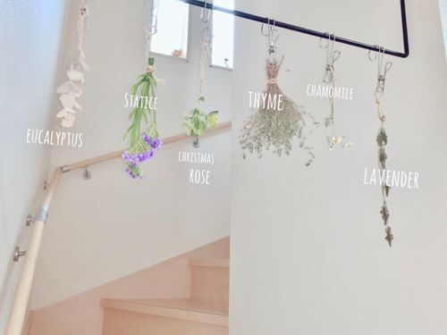 風水的にもおすすめ！運気を上げるドライフラワーの飾り方をご紹介花と笑顔を暮らしのそばに − はなのわ