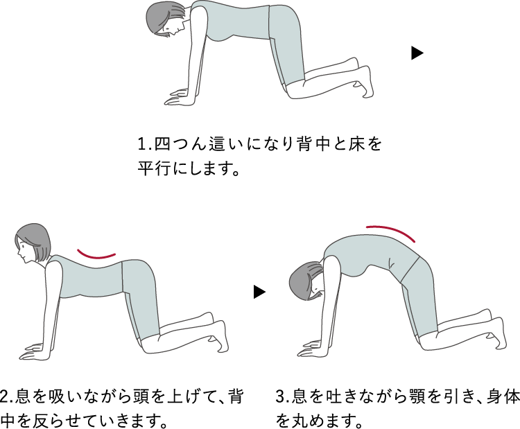 保存版】太陽礼拝12ポーズを画像で解説！効果やABのポーズの違い – SOELU(ソエル) Magazine