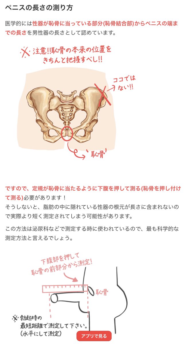 たぬかなが「ちんこの正しい測り方」を教える : くまニュース