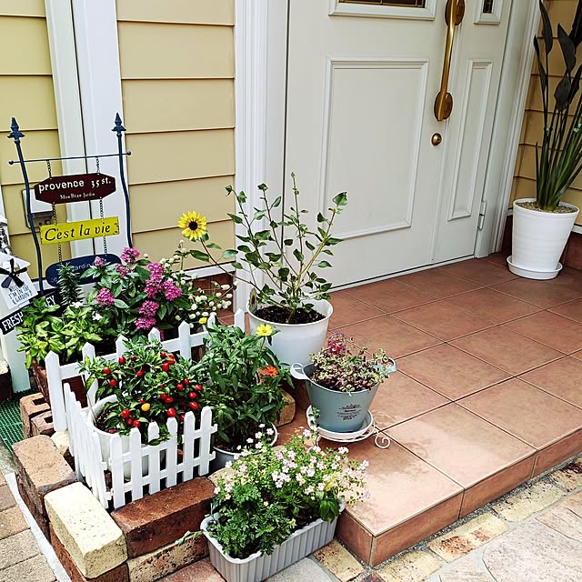 寄せ植え よせうえ 秋の寄せ植え 花ギフト お誕生日プレゼント 夏〜秋の花 がいっぱい 木製コンテナ 手付き 木製プランター ギフト :ガーデンエルフ Yahoo!店 - 通販 - Yahoo!ショッピング
