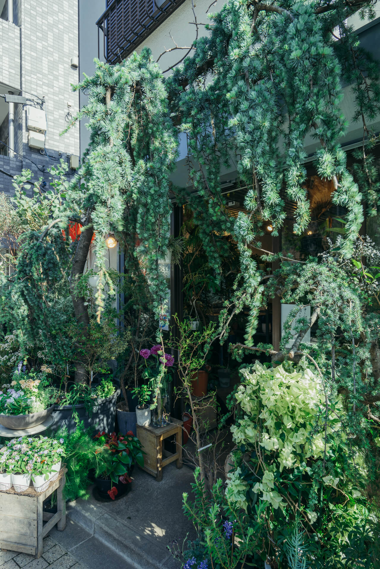 DAISO商品¥1100 税別 で作るサイドテーブル！収納にも使えて便利です。satoshi-toys