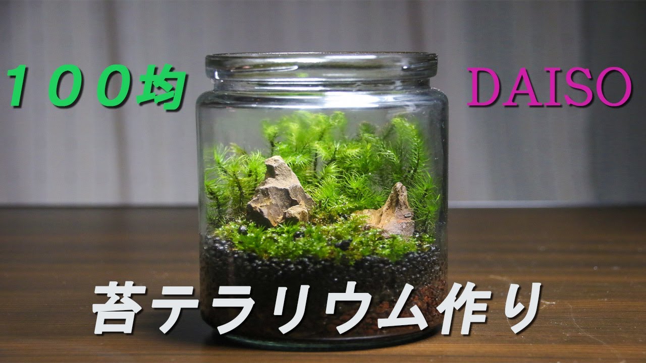 耐熱ガラス製ティーポット 約450ml-100均 通販 ダイソーオンラインショップ 公式