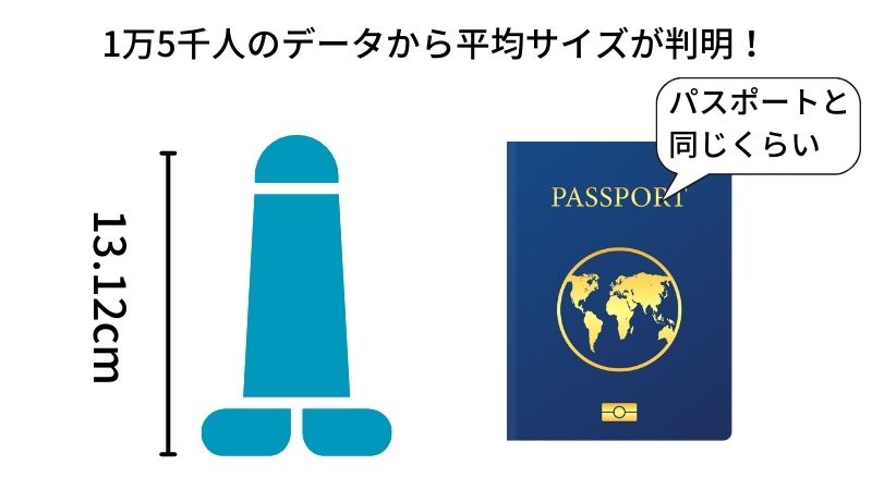 日本人の勃起時チン長は12cm弱！研究基づいたペニスの正確な長さ – メンズ形成外科 |