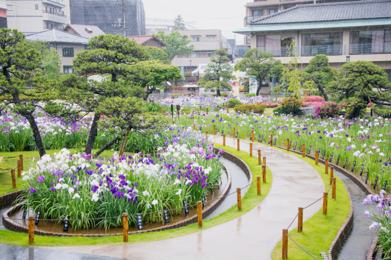 堀切菖蒲園駅（京成本線）のシェアハウス物件一覧：TOKYO SHAREHOUSE