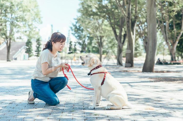 楽天市場】ベスト ジレ 前開き レディース