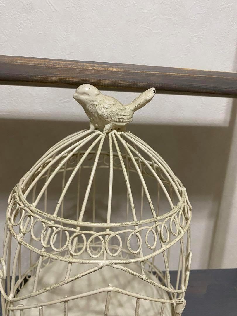 ムガル帝国の鳥かご 大きい バード ケージ インテリア 飾り おしゃれ 大型 オブジェ 鳥 カゴ 動物 小鳥 置物 ディスプレイ 豪華 アンティーク調店舗 frBCMOG バードケージ 鳥かご 鳥籠 インテリア アンティーク L Ancien Fil 62824 バードゲージ フレンチ アイアンスタンド