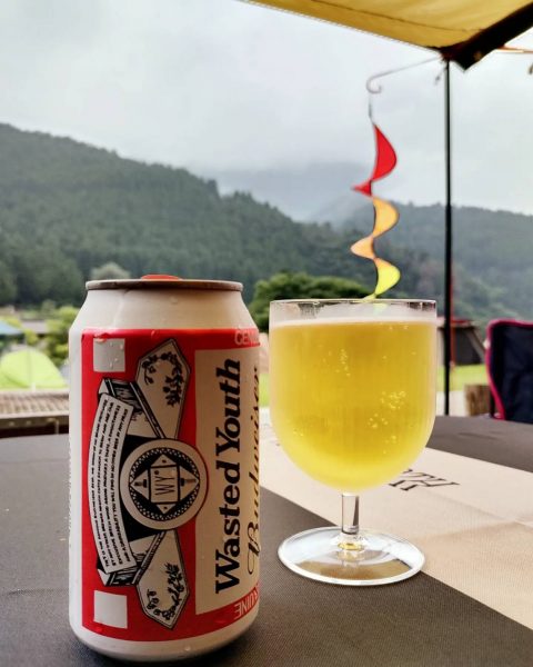 Seria✨️セリア セリア購入品オーロラグラスキャラクターソックス