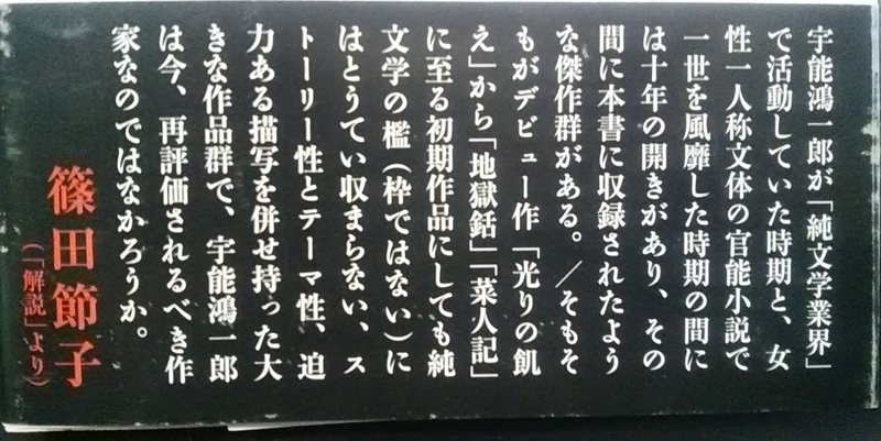 小売 官能小説 妻たちの性の記録 ２７冊