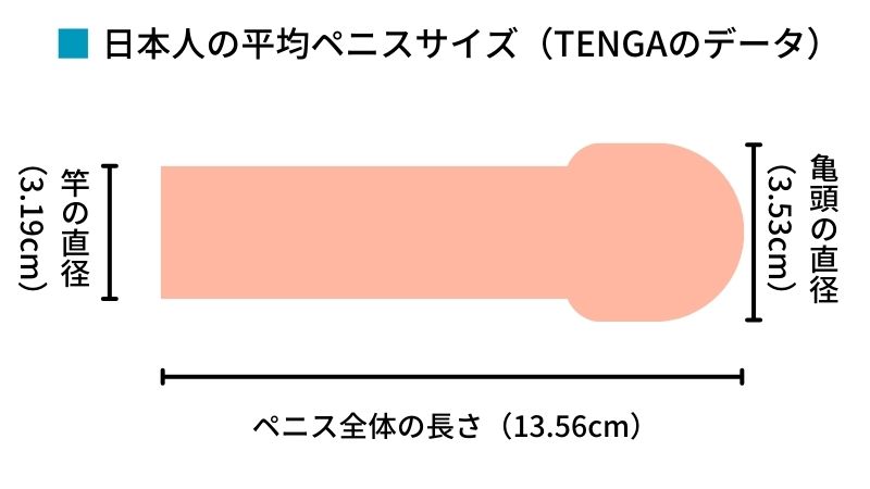 男性器のサイズで色分けした世界地図 - GIGAZINE