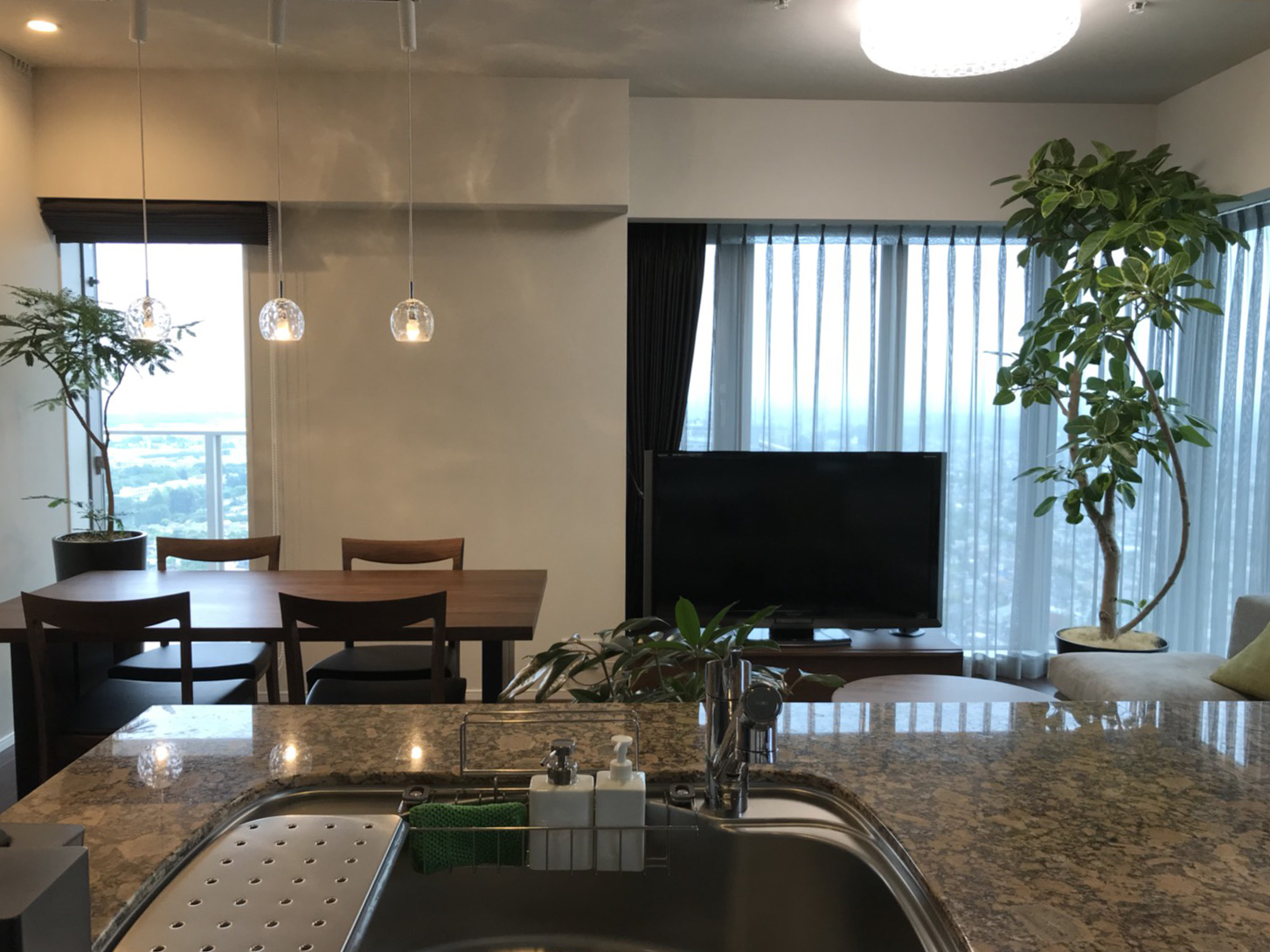 大型の観葉植物があるおしゃれなリビング15選育てやすいおすすめの観葉植物を紹介中古マンション・戸建てリノベーション＆リフォーム