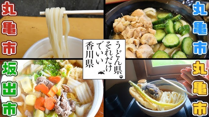 塩と小麦だけでつくった北海道小麦うどん（5食）|有機野菜 通販 Ｏｉｓｉｘ(おいしっくす)