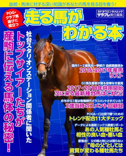 仕事】欲しくてたまらない牝馬のぐちょマンに陰茎を差し込むお手伝い。 | 閲覧注意グロ動画・衝撃映像のソルカブ