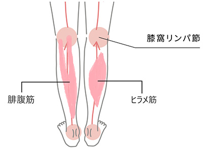 リンパドレナージュResia.レシア、リンパマッサージ、金山