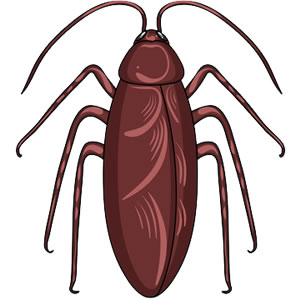 新築住宅からゴキブリ！ショック泣。新築の家からゴキブリも一緒に引っ越ししてる件 - 家づくり百貨