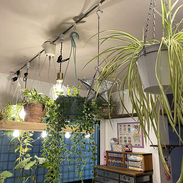 吊下げポット グリーンポット ダクトレールや、やぐらブースで飾るタイプ株式会社ベルク建材ナビ 建築材料・建築資材専門の検索サイト