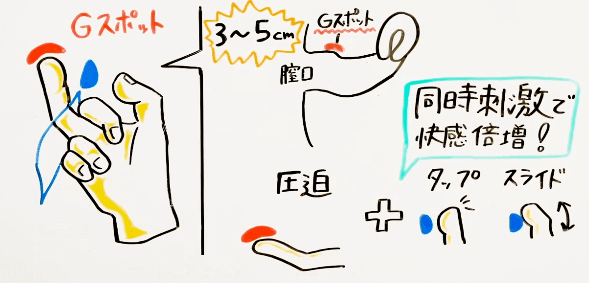 手マン・指マンで女性をイカせる完全教材【図解・動画】 | セクテクサイト