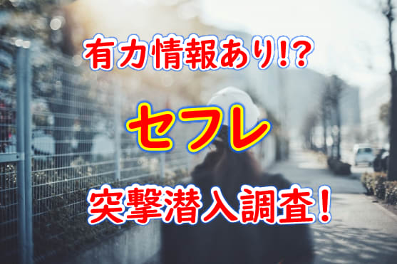 決定版】函館でセフレの作り方！！ヤリモク女子と出会う方法を伝授！【2024年】 | otona-asobiba[オトナのアソビ場]