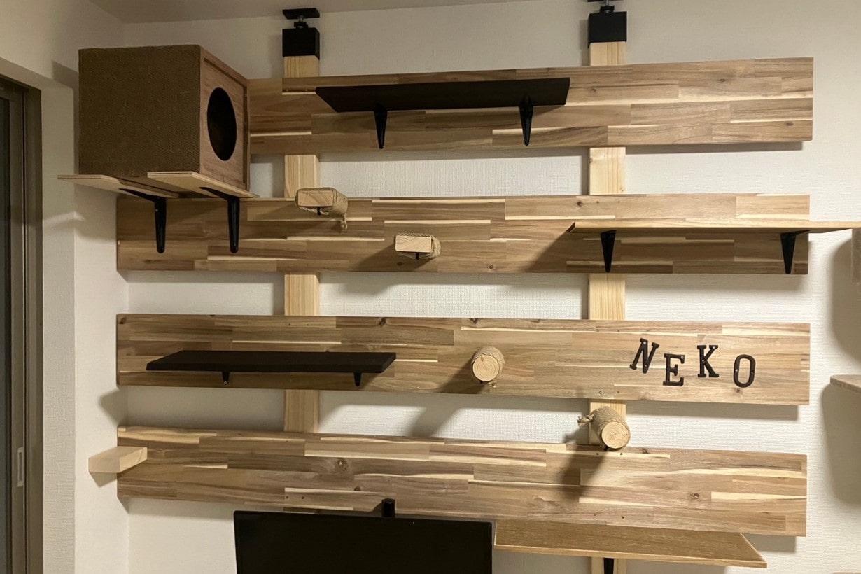 キャットウォークで猫と楽しく暮らす！ DIYや賃貸でも使える製品がぞくぞく登場住まいの本当と今を伝える情報サイト LIFULLHOME& 039;S PRESS