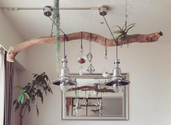 流木 アートオブジェクト 大きめ