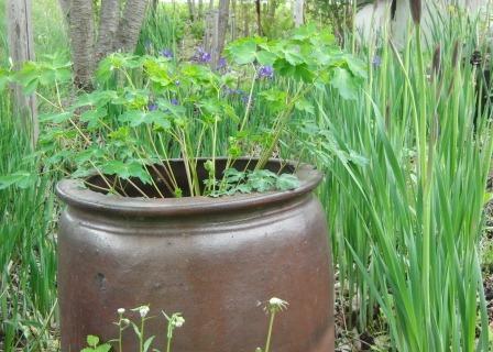 エルデンリング 大赤雷壺の入手方法と使い道 ELDEN RING- 神ゲー攻略