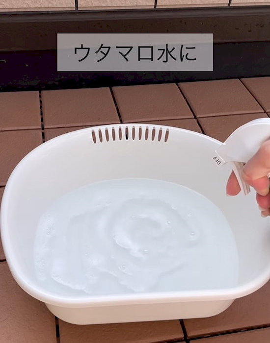 意外と簡単だった！網戸キレキレイ大作戦！宅配型トランクルーム sharekura