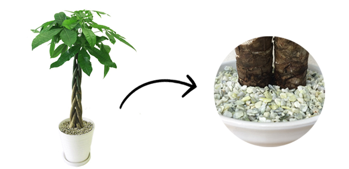 南東の玄関を風水でよくする方法 徹底解説 パワーストーンの風水ストーンきらきらラボ