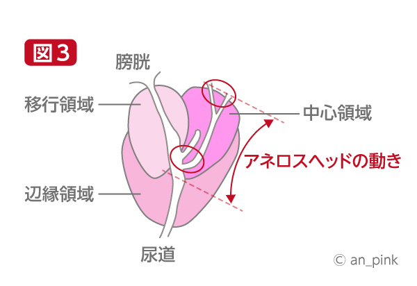 ところてん射精の知識・やり方を解説！ドライオーガズムとの違いや体験できる風俗も紹介｜風じゃマガジン