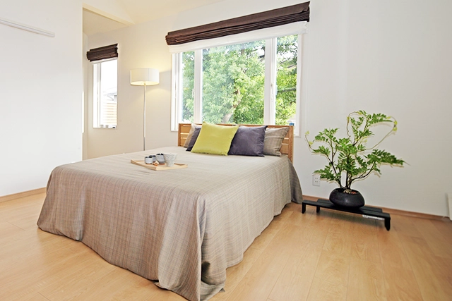 寝室に観葉植物風水で運気UP！おすすめ10選・選び方から配置まで徹底解説