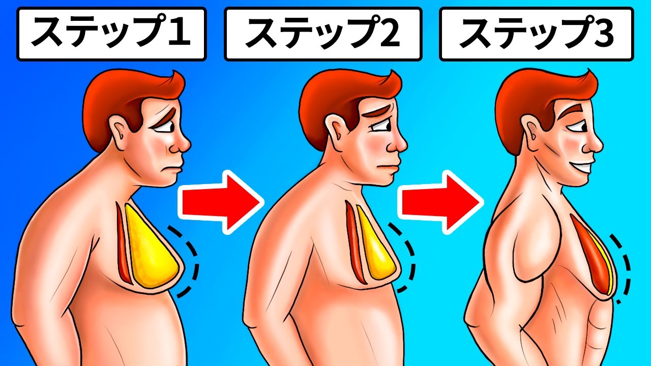 男性版】ウエストダイエットの効果を加速させる方法 | 男のためのダイエットマニュアル