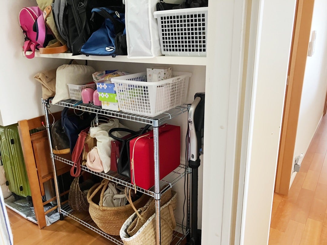 除湿シート付きしまいやすく取り出しやすいバッグ収納