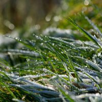 暖かい築50年×土壁の家 見学会 2024-2025 古民家再生×全館暖房＠御所市 - 伝統構法の専門家 ・東風＠奈良 古民家もAC1台で全館暖房、耐震改修