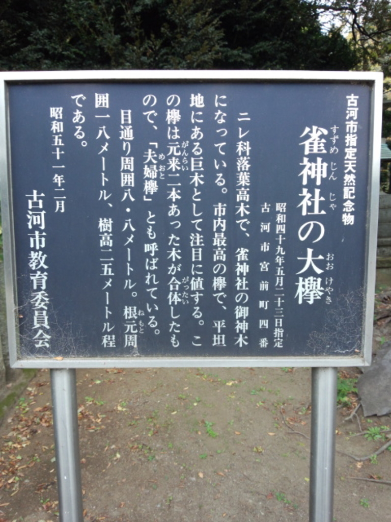 平成30年）桃むすめの活動 | こがナビ｜古河市観光協会