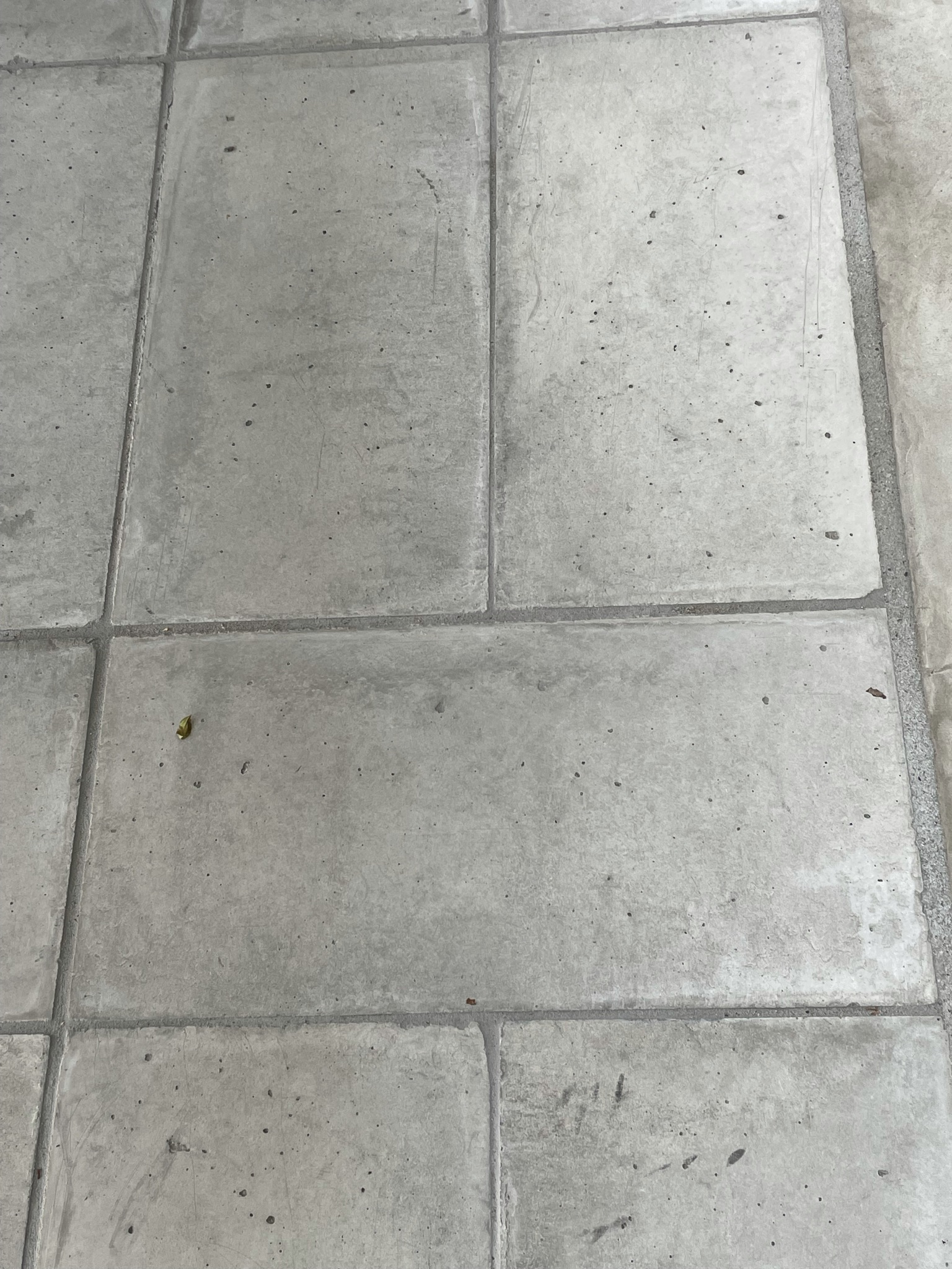 おしゃれな玄関アプローチデザイン事例11選 必要性や利用素材まで徹底解説！