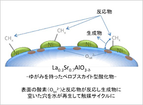 すりだね】大噴火 60g 山梨県の大人気万能辛味調味料 | すりだね専門店激辛高菜先生