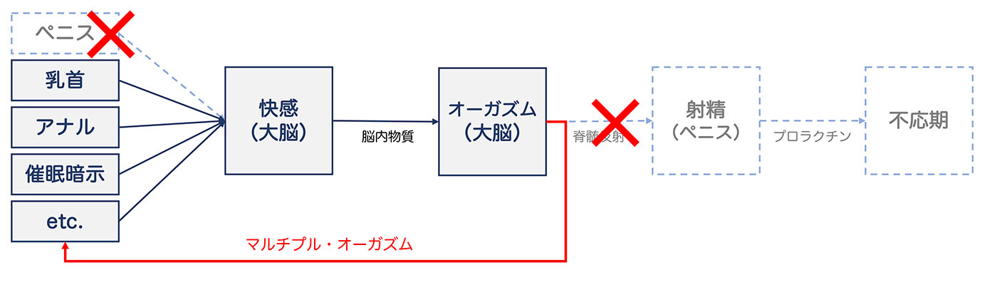 ドライオーガズム用催眠音声ついに完成！気持ちよさの絶頂をあなたに。 | ゲイの催眠術