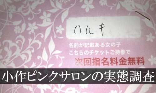 本番/NN/NSも？小作の稀少な風俗2店をご紹介！【2024年】 | Trip-Partner[トリップパートナー]