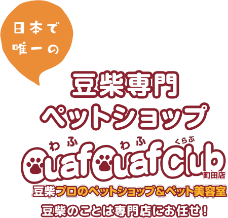 当店出身のてんちゃんがトリミングでご来店くださいました。体重は3キロ台と、とても小柄な女の子🐕🌷✨可愛らしいです☺️ #豆柴 #柴犬 #犬