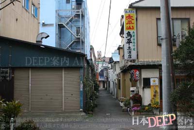 北関東最大のピンクゾーン「土浦市桜町」 | Nostalgic Landscape