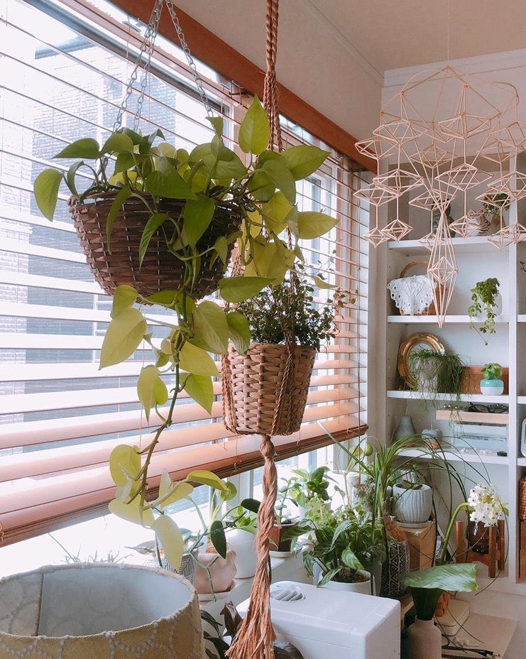 インテリアグリーンでお部屋をおしゃれに！おすすめフェイクグリーン特集！ » 横浜ディスプレイミュージアムアーティフィシャルフラワー・造花の販売・卸販売