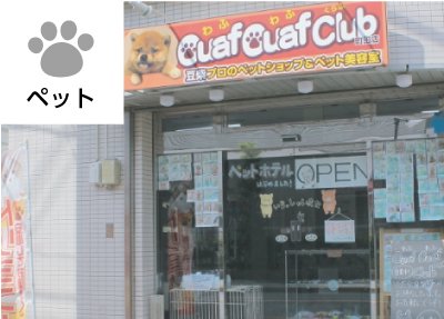 Ouaf Ouaf Club – 日本で唯一の豆柴専門ペットショップ